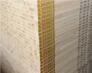 E1級東北楊-西安木工板 E1級東北楊-西安木工板